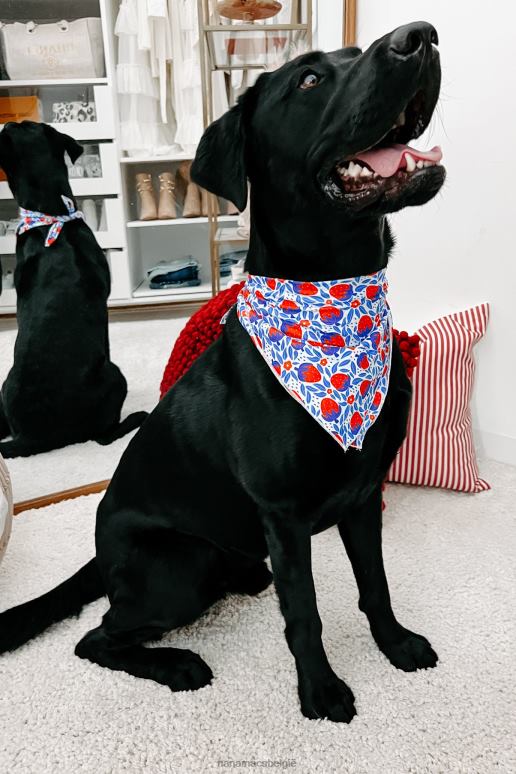 aardbei originele bedrukte haar- of hondenbandana NanaMacs HPTT1550