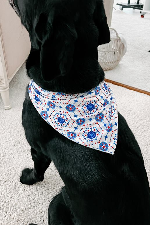 blauw vierkant originele bedrukte haar- of hondenbandana NanaMacs HPTT1549