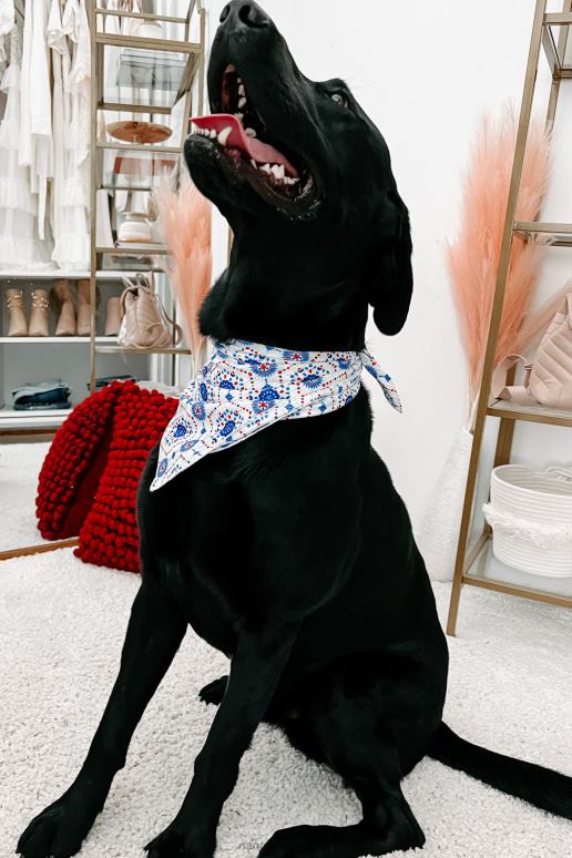 blauw vierkant originele bedrukte haar- of hondenbandana NanaMacs HPTT1549