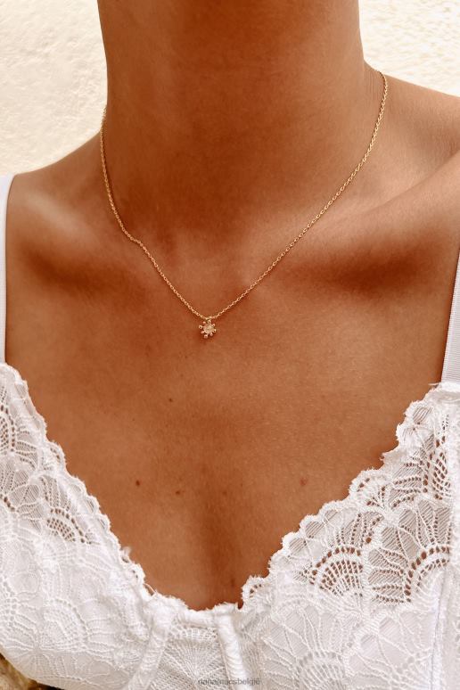 rozenkwarts/goud revival sierlijke charme ketting NanaMacs HPTT4185